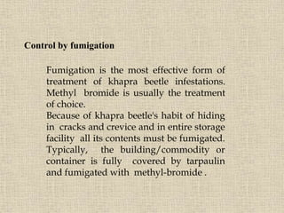 Fumigation is the most effective form of
treatment of khapra beetle infestations.
Methyl bromide is usually the treatment
of choice.
Because of khapra beetle's habit of hiding
in cracks and crevice and in entire storage
facility all its contents must be fumigated.
Typically, the building/commodity or
container is fully covered by tarpaulin
and fumigated with methyl-bromide .
Control by fumigation
 