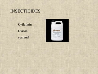 INSECTICIDES
Cyfluthrin
Diacon
centynal
 