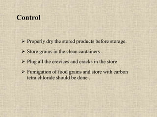 Control
 Properly dry the stored products before storage.
 Store grains in the clean cantainers .
 Plug all the crevices and cracks in the store .
 Fumigation of food grains and store with carbon
tetra chloride should be done .
 