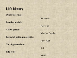 Life history
Overwintering:
As larvae
Inactive period:
Nov-Feb
Active period:
March - October
Period of optimum activity:
July - Oct
No. of generations:
3-4
Life cycle:
33-52
 
