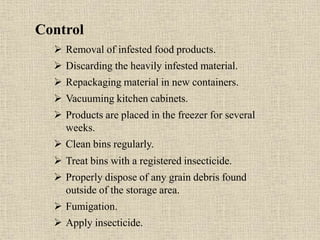 Control
 Removal of infested food products.
 Discarding the heavily infested material.
 Repackaging material in new containers.
 Vacuuming kitchen cabinets.
 Products are placed in the freezer for several
weeks.
 Clean bins regularly.
 Treat bins with a registered insecticide.
 Properly dispose of any grain debris found
outside of the storage area.
 Fumigation.
 Apply insecticide.
 