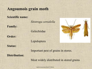 Angoumois grain moth
Scientific name:
Sitotroga cerealella
Family:
Gelechiidae
Order:
Lepidoptera
Status:
Important pest of grains in stores.
Distribution:
Most widely distributed in stored grains
Applied entomology Book 2nd Edition
 