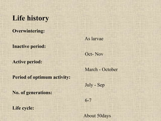 Life history
Overwintering:
As larvae
Inactive period:
Oct- Nov
Active period:
March - October
Period of optimum activity:
July - Sep
No. of generations:
6-7
Life cycle:
About 50days
 