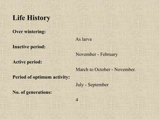 Life History
Over wintering:
As larva
Inactive period:
November - February
Active period:
March to October - November.
Period of optimum activity:
July - September
No. of generations:
4
 