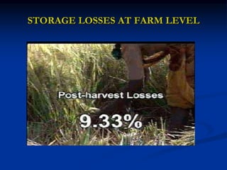 STORAGE LOSSES AT FARM LEVEL
 