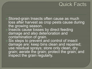 Store grain pests A Lecture By Mr Allah Dad Khan | PPTX