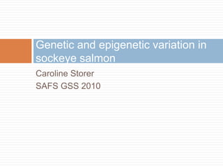 Caroline Storer SAFS GSS 2010 Genetic and epigenetic variation in sockeye salmon 