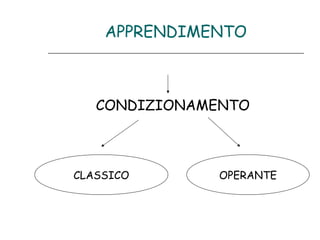 APPRENDIMENTO

CONDIZIONAMENTO

CLASSICO

OPERANTE

 
