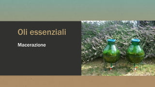 Oli essenziali
Macerazione
 