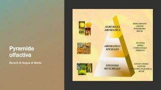 Pyramide
olfactiva
Bursch di Acqua di Biella
 