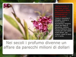 Nei secoli i profumo divenne un
affare da parecchi milioni di dollari
Nell’antichità, Il
profumo, al pari
dei metalli e delle
pietre preziose, è
considerato un
bene di lusso.
Come ci racconta il
Vangelo, incenso e
mirra (resine
aromatiche) vengono
offerti dai Magi al
Salvatore, mentre,
Maria di Betania viene
ripresa per aver speso
inutili denari per
ungere i piedi di Gesù
con il nardo.
 