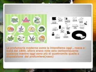 La profumeria moderna come la intendiamo oggi , nasce a
metà del 1800. allora erano note solo centocinquanta
sostanze mentre oggi sono più di quattromila quelle a
disposizione del profumiere(naso)
 