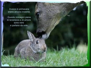 Invece in primavera erano ancora insieme. Queste immagini piene di tenerezza e di amore  sono vere  e parlano da sole. 