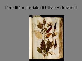 L’eredità materiale di Ulisse Aldrovandi
 