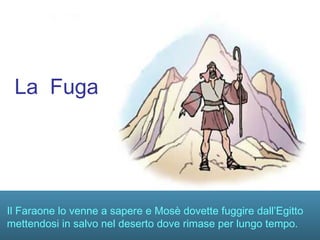 La Fuga




Il Faraone lo venne a sapere e Mosè dovette fuggire dall’Egitto
mettendosi in salvo nel deserto dove rimase per lungo tempo.
 