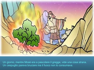 Un giorno, mentre Mosè era a pascolare il gregge, vide una cosa strana.
Un cespuglio pareva bruciare ma il fuoco non lo consumava.
 