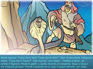 Mosè rispose: “Cosa devo fare? Cosa dovrò dire?”. Non mi ascolterà, il Signore
disse: “Cosa hai in mano?”. Egli rispose “una verga”. “Gettala a terra”, gli
ordinò il Signore. Mosè la gettò e quella diventò un serpente. Mose si impaurì
ma il Signore gli disse: “Prendi il serpente per la coda” e questi ridiventò una verga.
 