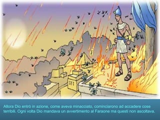 Allora Dio entrò in azione, come aveva minacciato, cominciarono ad accadere cose
terribili. Ogni volta Dio mandava un avvertimento al Faraone ma questi non ascoltava.
 