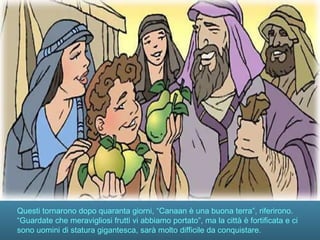 Questi tornarono dopo quaranta giorni, “Canaan è una buona terra”, riferirono.
“Guardate che meravigliosi frutti vi abbiamo portato”, ma la città è fortificata e ci
sono uomini di statura gigantesca, sarà molto difficile da conquistare.
 