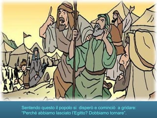 Sentendo questo il popolo si disperò e cominciò a gridare:
“Perché abbiamo lasciato l’Egitto? Dobbiamo tornare”.
 