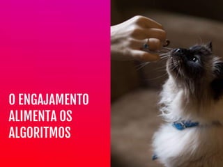 O ENGAJAMENTO

ALIMENTA OS

ALGORITMOS
 