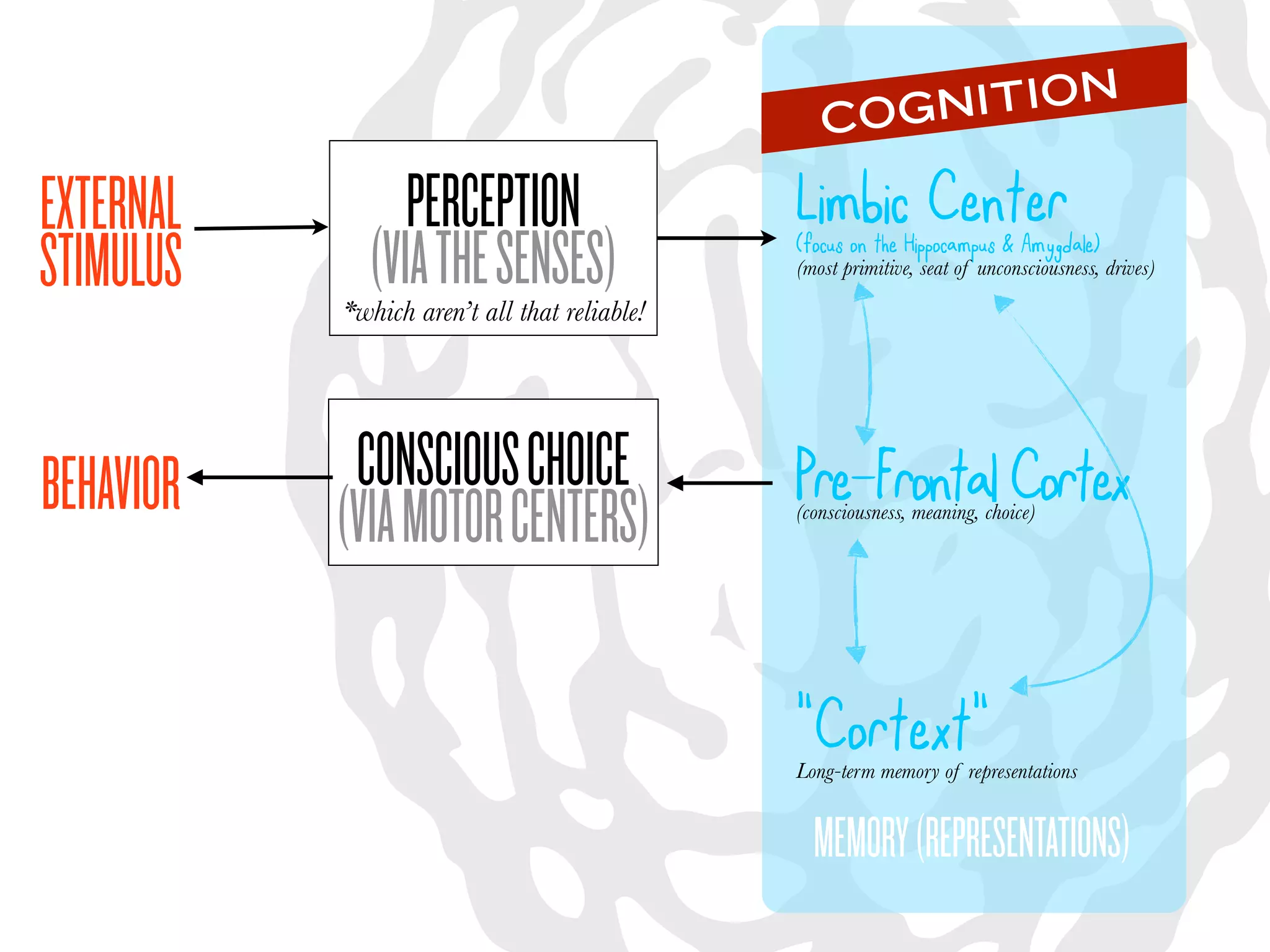 COGN ITION

EXTERNAL        PERCEPTION                    Limbic Center
STIMULUS     (VIA THE SENSES)
           *which aren’t all that reliable!
                                              (focus on the Hippocampus & Amygdale)
                                              (most primitive, seat of unconsciousness, drives)




BEHAVIOR    CONSCIOUS CHOICE                  Pre-Frontal Cortex
           (VIA MOTOR CENTERS)                (consciousness, meaning, choice)




                                              “Cortext“
                                              Long-term memory of representations


                                                MEMORY (REPRESENTATIONS)
 