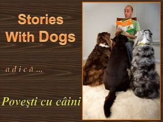 Stories With Dogs a d i c ă … Poveşti cu câini 