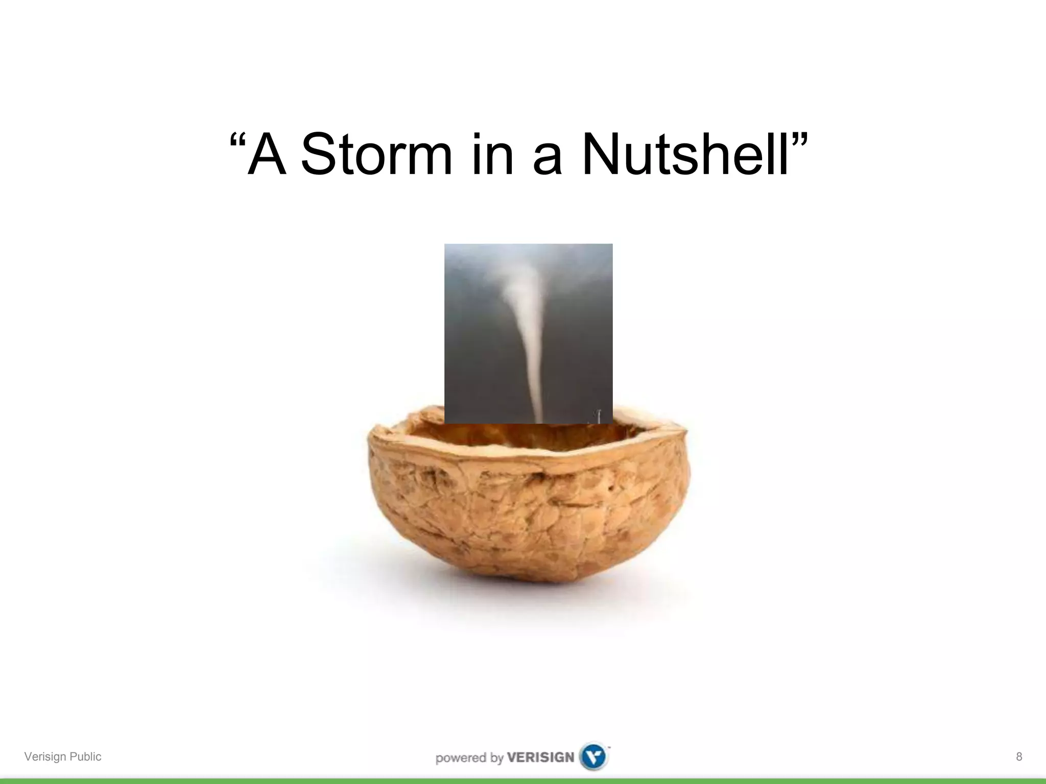 “A Storm in a Nutshell” 
Verisign Public 8 
 