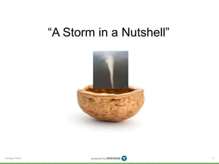 “A Storm in a Nutshell” 
Verisign Public 8 
 