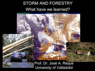 Prof. Dr. José A. Reque
University of Valladolid
STORM AND FORESTRY
What have we learned?
 