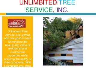 Unlimbited Tree
Service was started
with one goal in mind:
To enhance the
beauty and value of
residential and
commercial
properties while
ensuring the safety of
their occupants. With
Unlimbited, you know
UNLIMBITED TREE
SERVICE, INC.
 