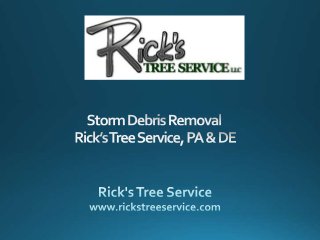 Storm Debris Removal | Rick’s Tree Service, PA & DE