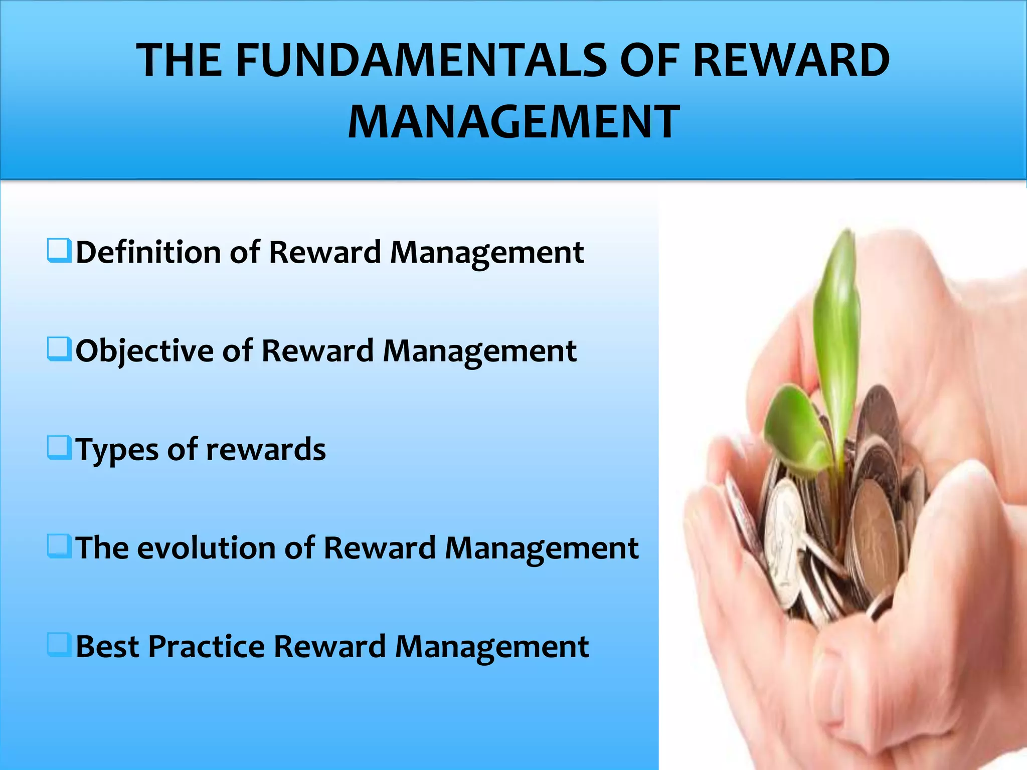 Remuneration Strategy and Salary Structuring | PPTX