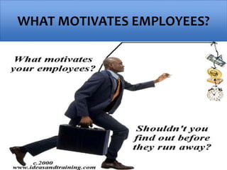 WHAT MOTIVATES EMPLOYEES?
 