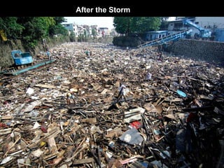 After the Storm 