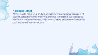 7. Rainfall Effect
Water levels can rise quickly in estuaries because large volumes of
accumulated rainwater from watersheds in higher elevation areas,
which are drained by rivers, encounter waters driven by the tropical
cyclone from the open ocean.
 