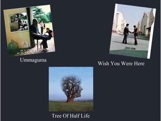 Wish You Were Here Ummaguma Tree Of Half Life 