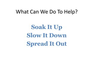 What Can We Do To Help?
Soak It Up
Slow It Down
Spread It Out
 
