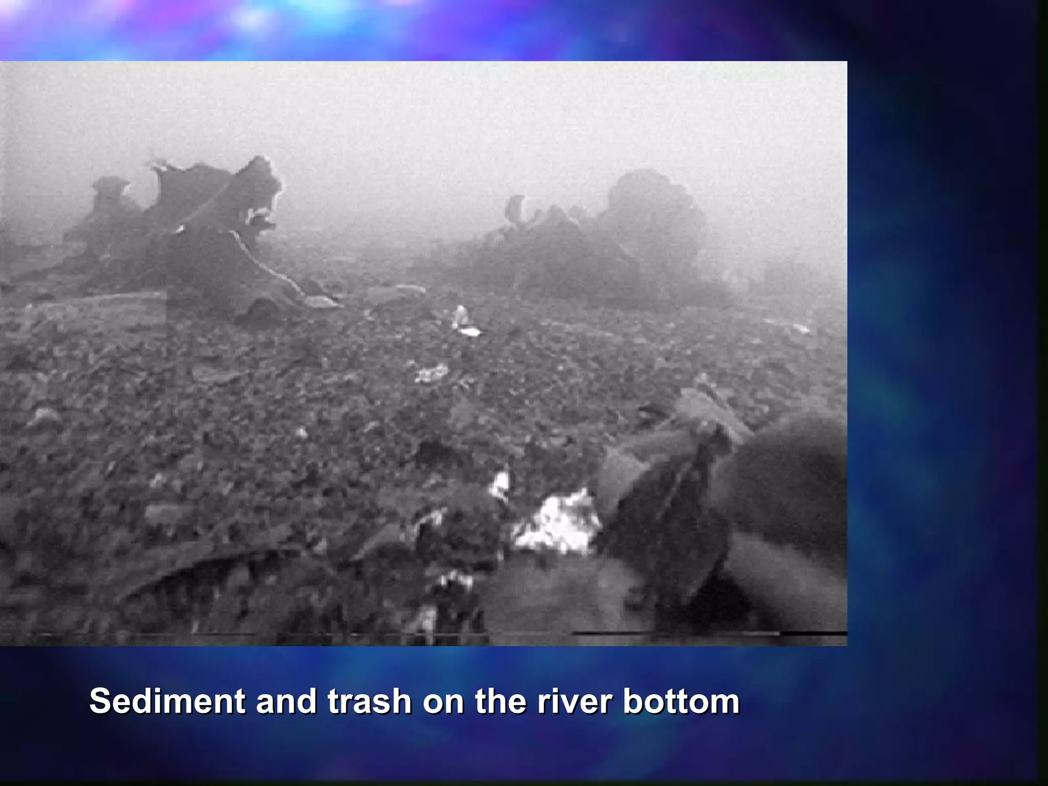 Sediment and trash on the river bottomSediment and trash on the river bottom
 
