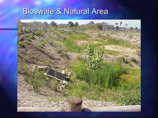 Bioswale & Natural AreaBioswale & Natural Area
 