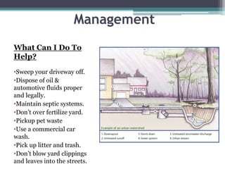Stormwater Runoff
Management
What Can I Do To
Help?
•Sweep your driveway off.
•Dispose of oil &
automotive fluids proper
and legally.
•Maintain septic systems.
•Don’t over fertilize yard.
•Pickup pet waste
•Use a commercial car
wash.
•Pick up litter and trash.
•Don’t blow yard clippings
and leaves into the streets.
 