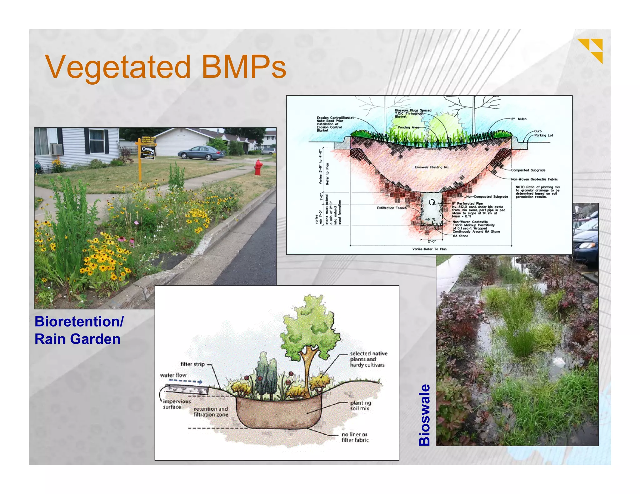 Vegetated BMPs




Bioretention/
Rain Garden




                  Bioswale
 