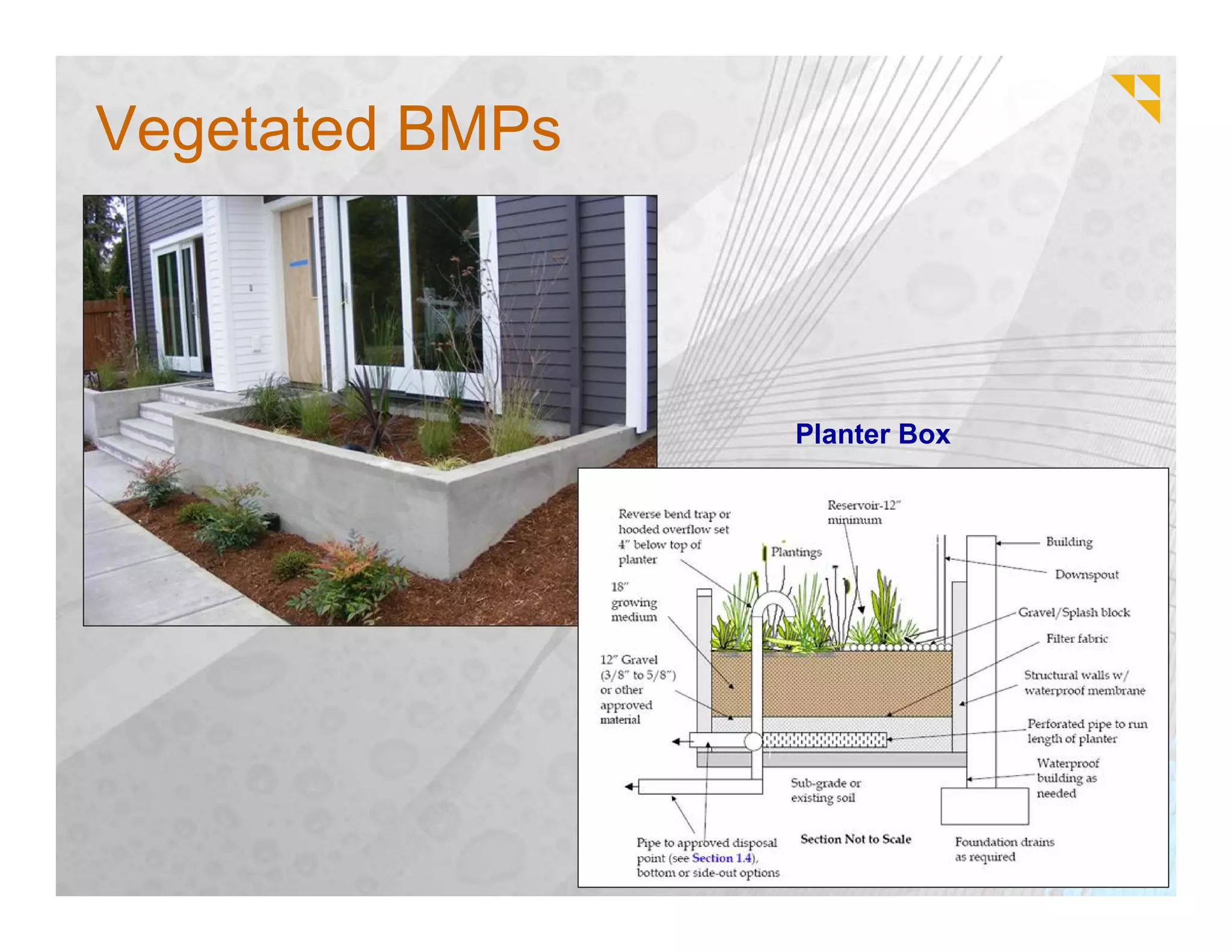 Vegetated BMPs



                 Planter Box
 