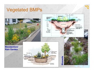 Vegetated BMPs




Bioretention/
Rain Garden




                  Bioswale
 