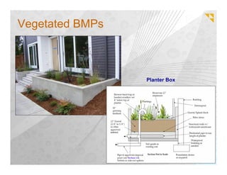 Vegetated BMPs



                 Planter Box
 