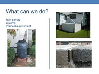 What can we do?
Rain barrels
Cisterns
Permeable pavement
 