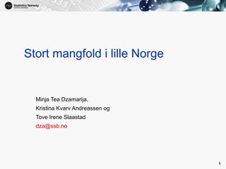 1

Stort mangfold i lille Norge

Minja Tea Dzamarija,
Kristina Kvarv Andreassen og
Tove Irene Slaastad
dza@ssb.no

1

 