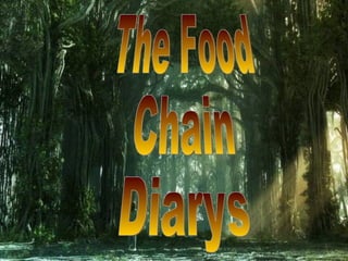 The Food  Chain Diarys 