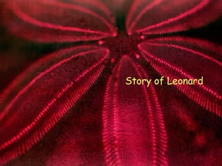 Story of Leonard 