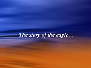 The story of the eagle…
 